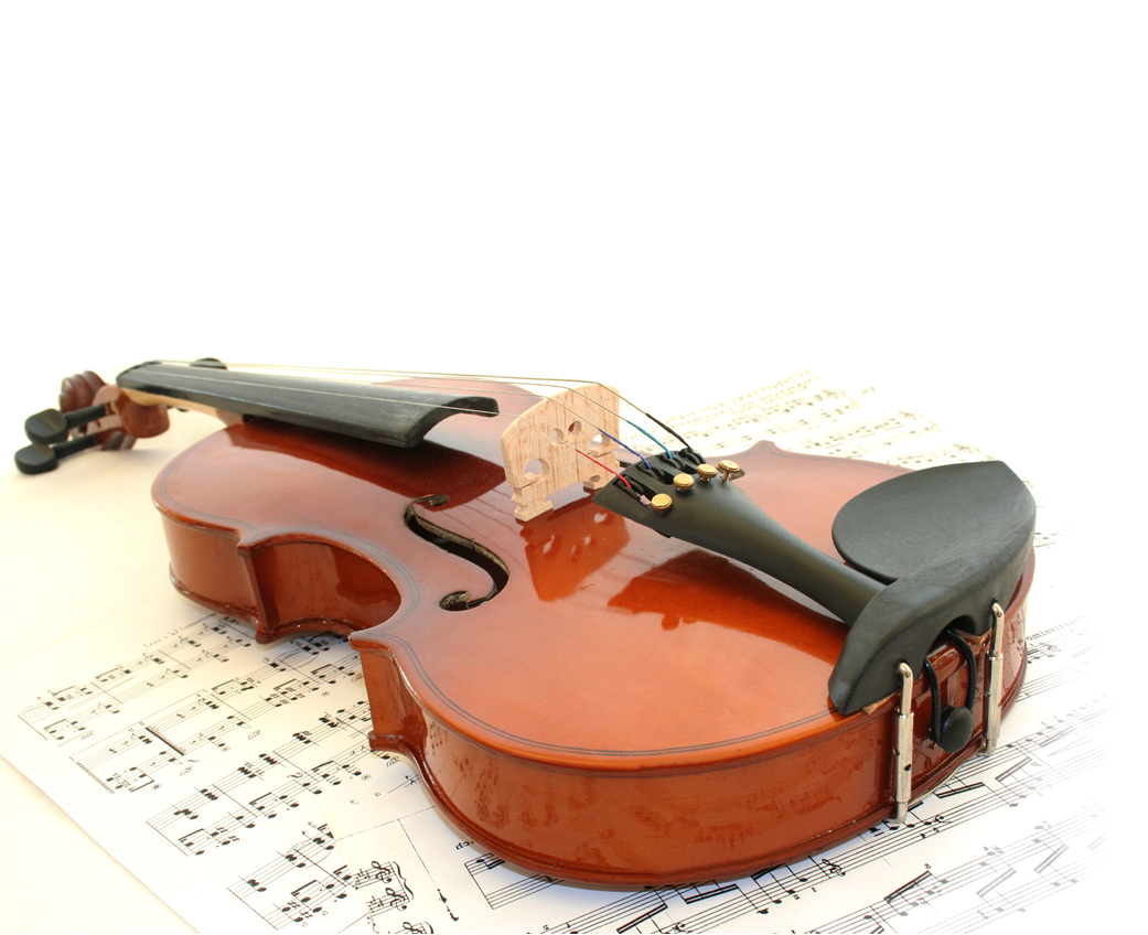 Violin